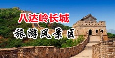 又爽又骚的视频在线观看网站中国北京-八达岭长城旅游风景区