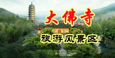 看女人骚逼免费视频中国浙江-新昌大佛寺旅游风景区